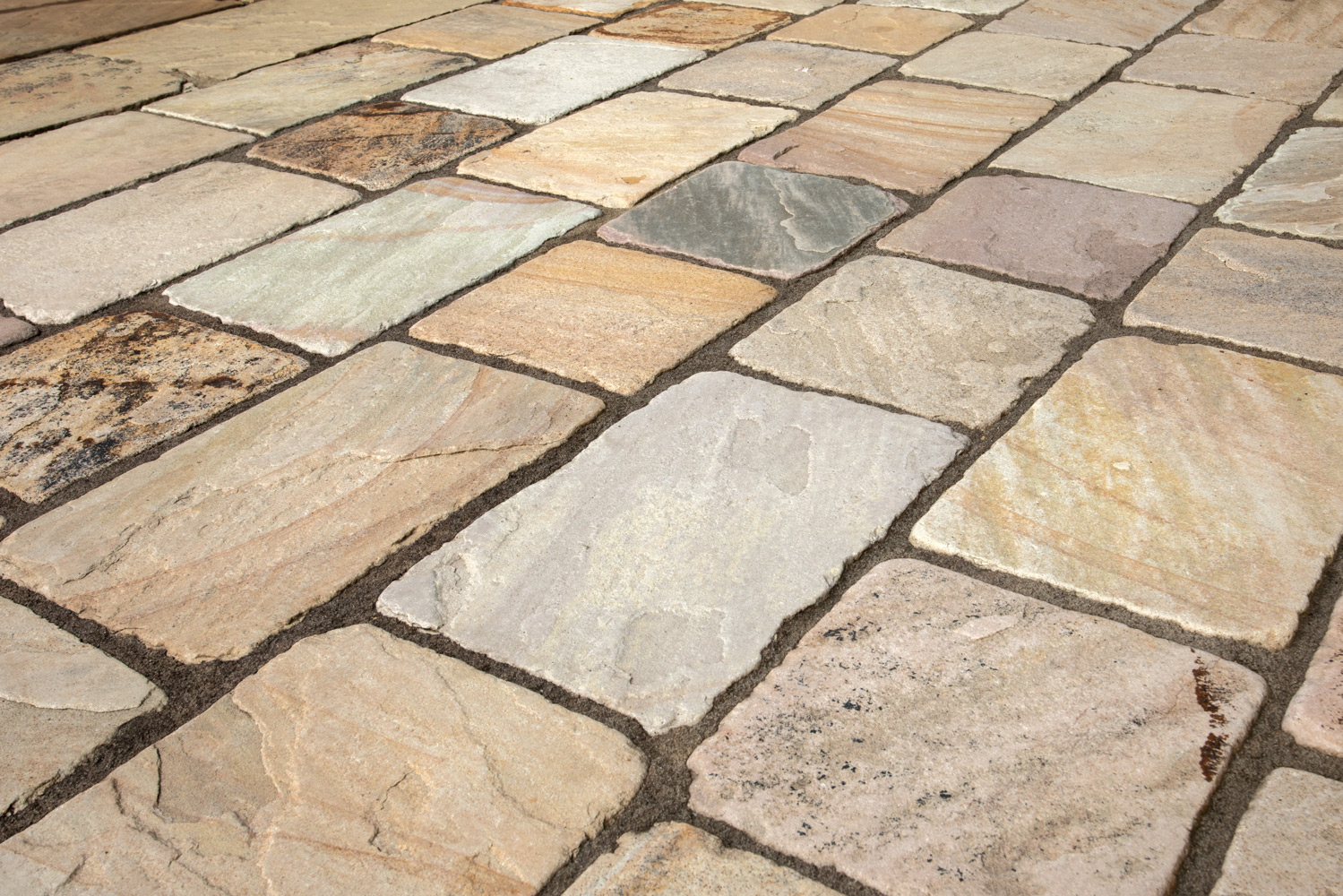 Fossil Mint Sandstone