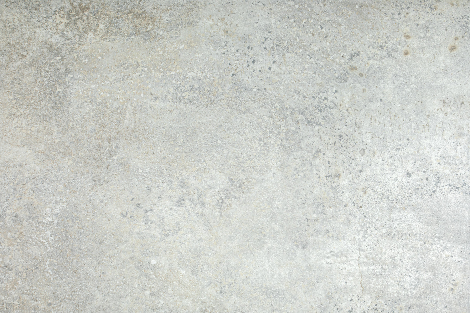 Florence Grey - Image 6