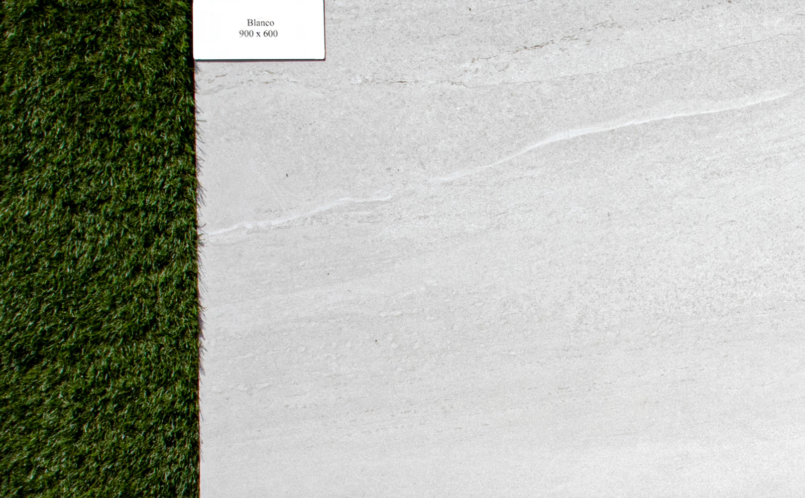 Blanco - Image 4