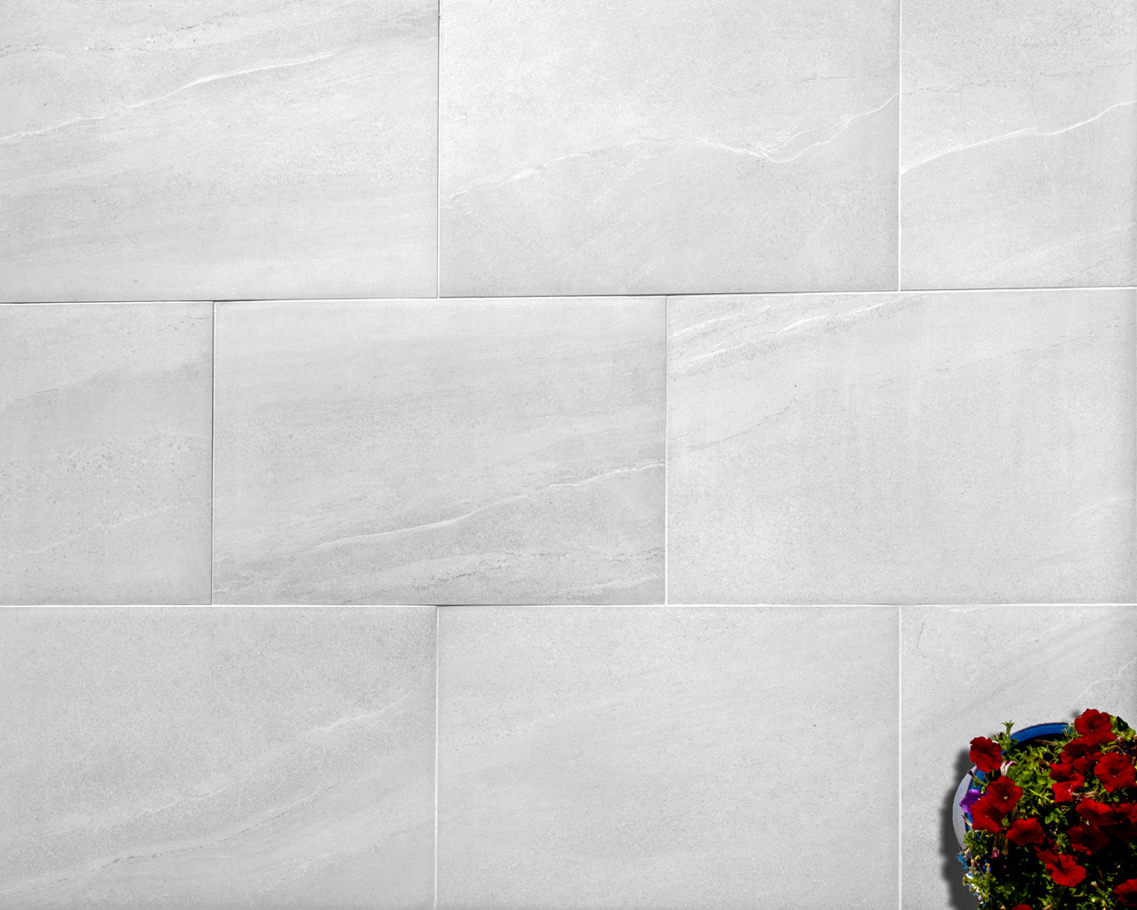 Blanco - Image 5
